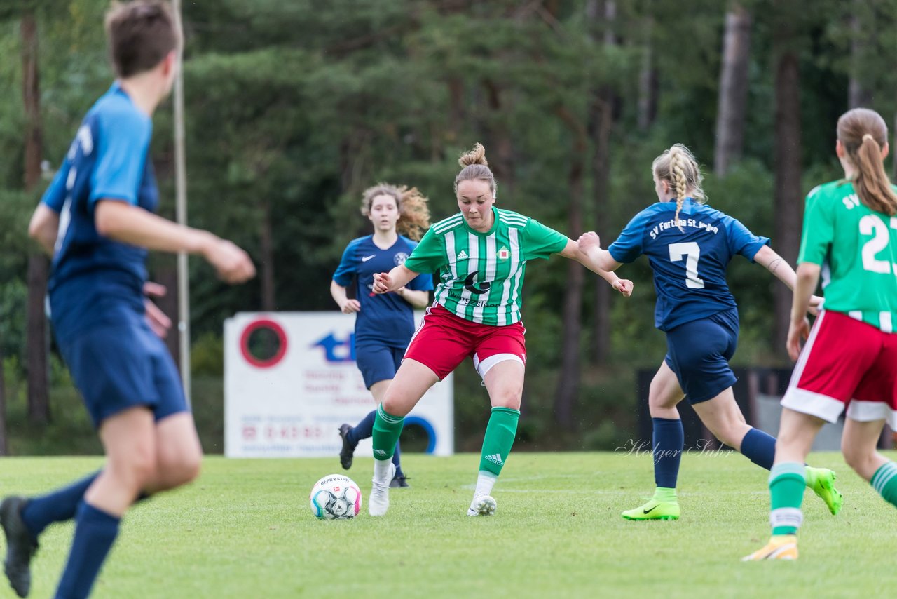 Bild 135 - F SV Boostedt - SV Fortuna St. Juergen : Ergebnis: 2:1